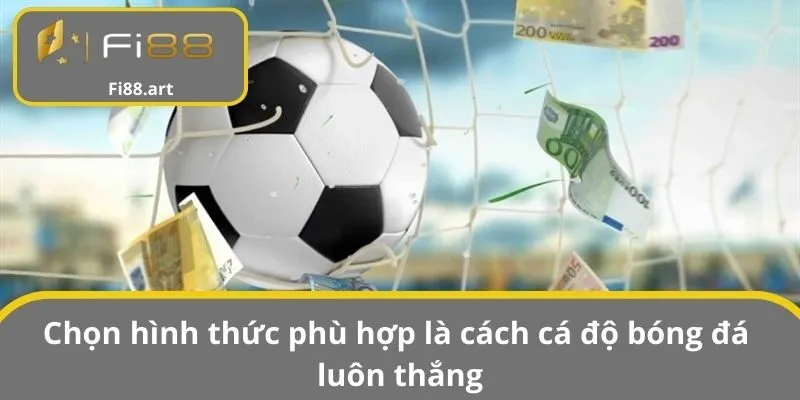 Chọn hình thức phù hợp là cách cá độ bóng đá luôn thắng