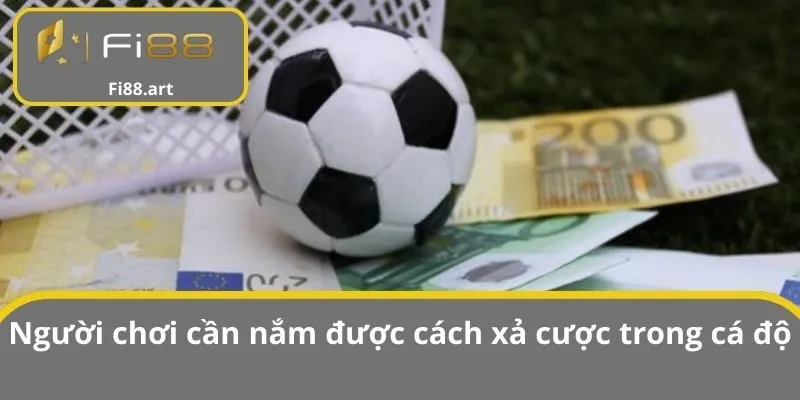 Người chơi cần nắm được cách xả cược trong cá độ bóng đá