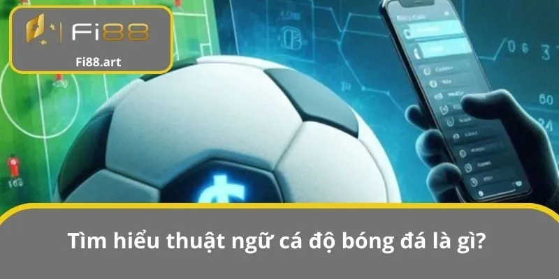 Tìm hiểu thuật ngữ cá độ bóng đá là gì?