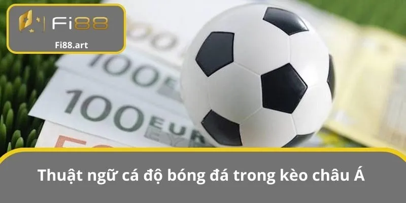 Thuật ngữ cá độ bóng đá trong kèo châu Á